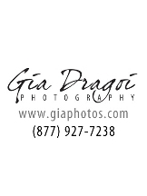 Chicago Wedding Engagement Photographer - Gia Photos