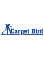 Columba Max Carpet bird in Woking England